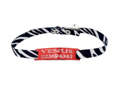Chapita Gato ROJO + Collar 1cm Estampado CEBRA