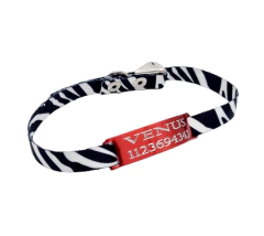 Chapita Gato ROJO + Collar 1cm Estampado CEBRA - comprar online