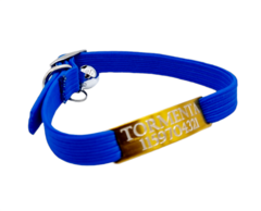 Chapita pasador de BOCA (CHAPITA DORADA+COLLAR AZUL) - comprar online