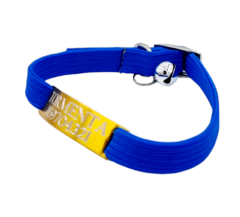 Chapita pasador de BOCA (CHAPITA DORADA+COLLAR AZUL) en internet