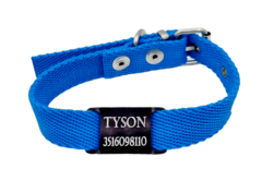 Chapita Pasador anodizado para collares de 2cm de ancho color negro+collar turquesa - Medallas para Perros