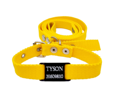 Chapita Perros Pasador NEGRO +collar+ correa AMARILLA 2cm Ancho