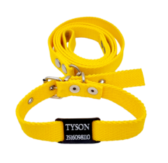 Chapita Perros Pasador NEGRO +collar+ correa AMARILLA 2cm Ancho - comprar online