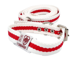 Chapita Perros Pasador DE RIVER +collar+ correa RIVER 2cm Ancho en internet