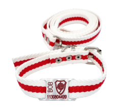 Chapita Perros Pasador DE RIVER +collar+ correa RIVER 2cm Ancho - Medallas para Perros