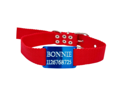 Chapitas Perros Pasador Turquesa + Collar Rojo 3cm