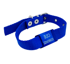 Chapita Pasador anodizado azul + collar 2cm azul