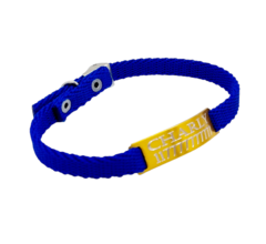Chapitas Para Gatos Pasador Dorada+ Collar De 1 Cm Reforzado AZUL - comprar online