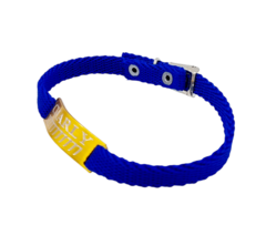 Chapitas Para Gatos Pasador Dorada+ Collar De 1 Cm Reforzado AZUL en internet