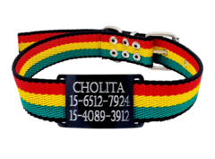 Chapita Pasador anodizado + collar JAMAICA 3CM + linea extra