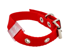 Chapitas Perros Pasador Rosa + collar ROJO 2cm Ancho en internet