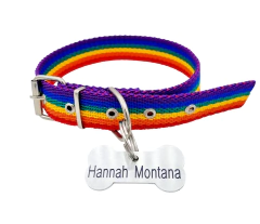 Chapita super hueso grande + collar ORGULLO - comprar online