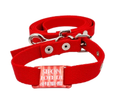 Chapita pasador para collares de 2cm de ancho Roja + Collar + Correa roja - comprar online