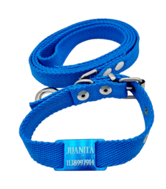 Chapita pasador para collares de 2cm de ancho TURQUESA + Collar + Correa TURQUESA en internet