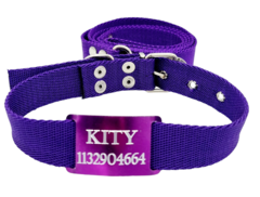 Chapita Perros Pasante VIOLETA + Collar Y Correa VIOLETA