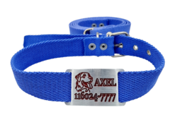 Combo Chapita + dibujo LABRADOR + Collar Y Correa LILA - comprar online