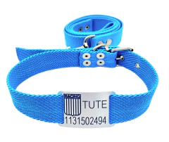 Combo Chapita + ESCUDO RACING+ Collar Y Correa TURQUESA - comprar online