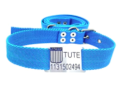 Combo Chapita + ESCUDO RACING+ Collar Y Correa TURQUESA