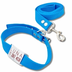 Chapita Pasador + collar y Correa TURQUESA 3cm de ancho