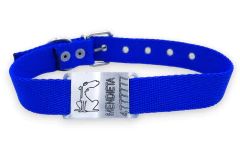 Imagen de Chapita Pasador con dibujo para collares de 3cm de ancho homenaje a MENDIETA