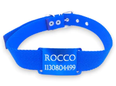 Combo Chapita Pasador color + collar de 3cm de ancho y 60cm de Largo - comprar online