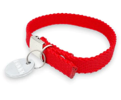 Chapita Perro Chico O Gato redonda De Color natural