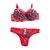 Imagen de CJ400-PACK X12 unidades (DOCENA) FB lingerie conjunto armado con aro microfibra, encaje y tul estampado print con vedetina
