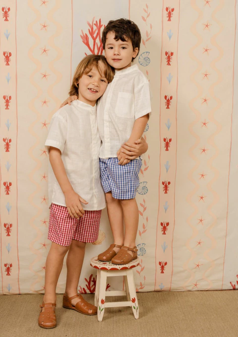 Camisa Gola Padre - comprar online