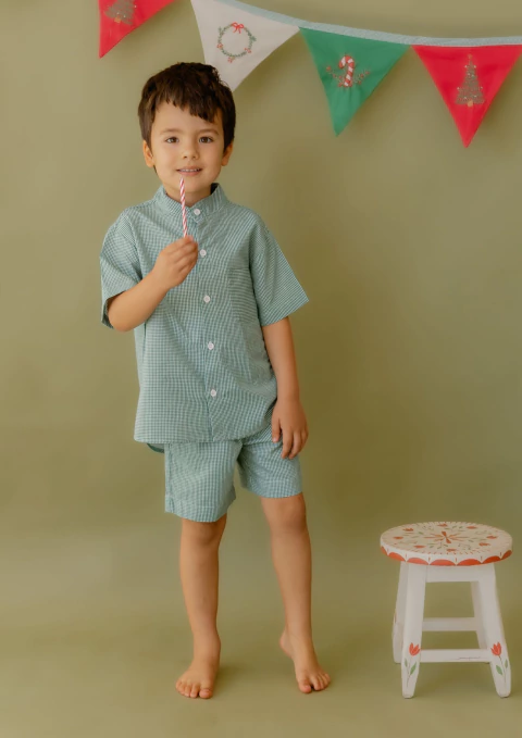 Shorts Vichy - comprar online