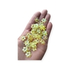 Florzinha Passantes 14mm Amarelo 15grs