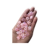Florzinha Passantes 14mm Rosa 15grs