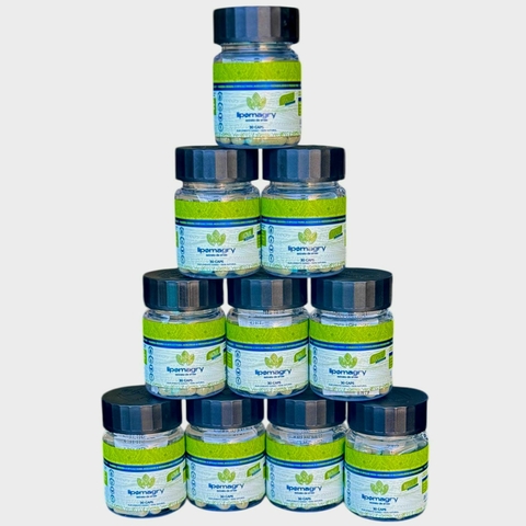 KIT BASICO REVENDEDOR 10 POTES LIPOMAGRY