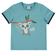 Camiseta Infantil Menino Guaxinim Em Meia Malha Botonê Malwee Kids Azul