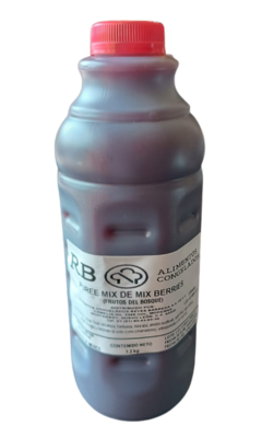 Concentrado Smoothie Frutos Rojos (Berries)