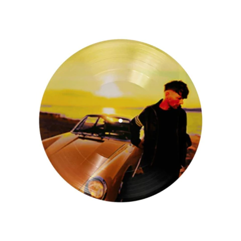 Louis Tomlinson - How Did I Get Here? [Vinil Picture Disc] - comprar online