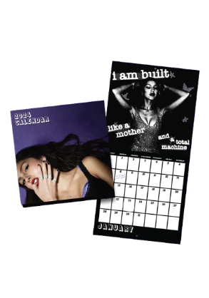 [PRONTA-ENTREGA] Olivia Rodrigo - Guts [Calendar] - comprar online