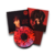 [PRONTA-ENTREGA] Louis Tomlinson - Faith in The Future [Vinil vermelho e preto] - comprar online