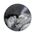 Sabrina Carpenter - Short N' Sweet (Spotify Fans First) [Vinil Picture Disc] - comprar online