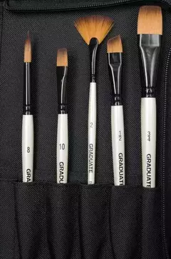 Set 10 Pinceles Graduate Daler Rowney En Estuche Con Cierre en internet