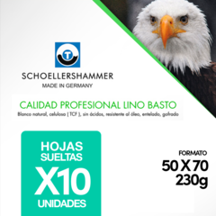 Papel Para Oleo 50x70 230gr 10 Hojas