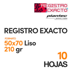 Papel Registro Exacto Liso 210gr 50x70 10 H