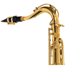 Sax Tenor Michael Sib WTSM30N Laqueado - comprar online