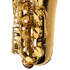 Sax Tenor Michael Sib WTSM30N Laqueado - Plander