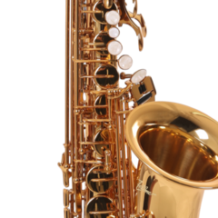 Sax Alto Zellmer ZAS-600L Laqueado - Plander