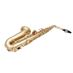 Sax Alto Yanagisawa Profissional AWO1 Laqueado - comprar online