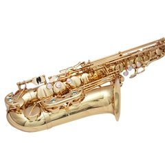 Sax Alto Yanagisawa Profissional AWO1 Laqueado na internet