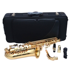 Sax Alto Yanagisawa Profissional AWO1 Laqueado - Plander