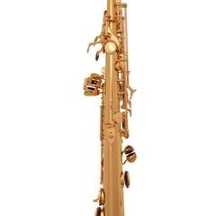 Sax Soprano Yanagisawa Profissional SWO1 Laqueado na internet