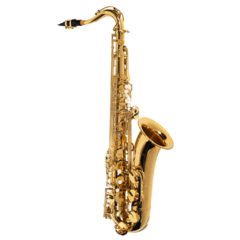 Sax Tenor Michael Sib WTSM30N Laqueado