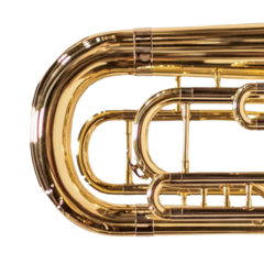 Euphonium Bombardino Sib Michael WEPM454N 4 Pistos Laqueado - comprar online